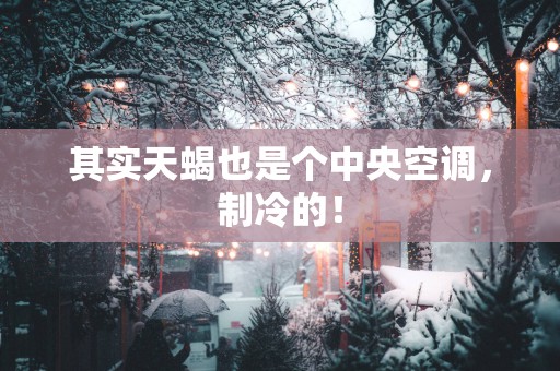 其实天蝎也是个中央空调，制冷的！