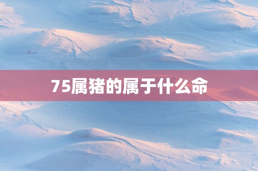 75属猪的属于什么命