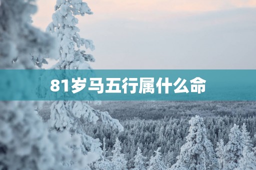 81岁马五行属什么命