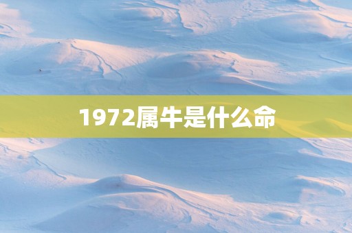 1972属牛是什么命