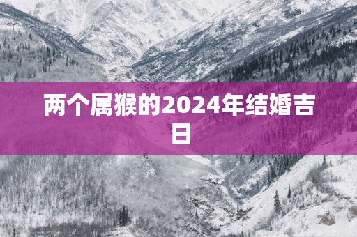 两个属猴的2025年结婚吉日