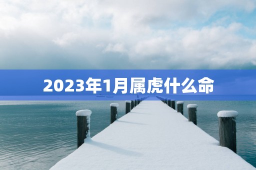 2025年1月属虎什么命