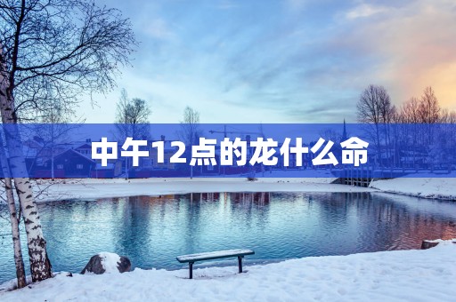 中午12点的龙什么命