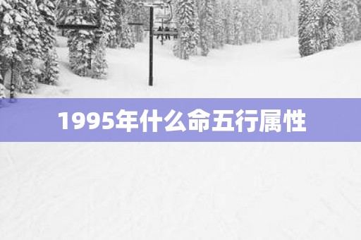 1995年什么命五行属性