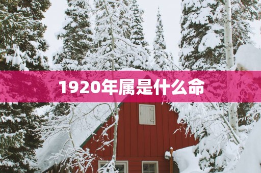 1920年属是什么命