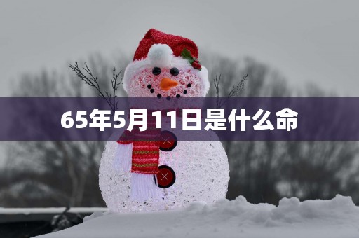 65年5月11日是什么命