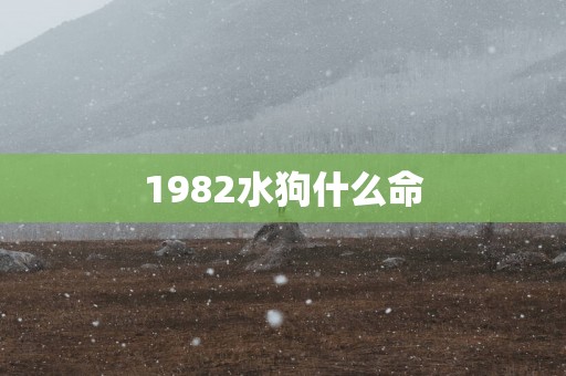 1982水狗什么命
