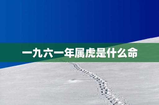 一九六一年属虎是什么命