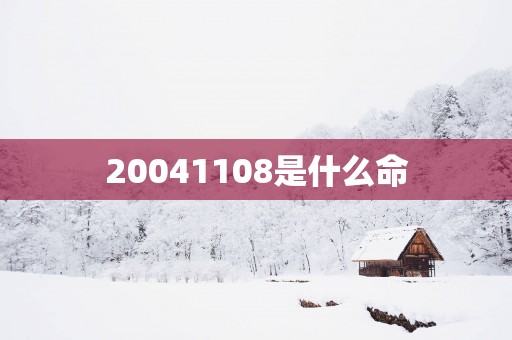 20041108是什么命