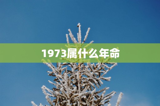1973属什么年命