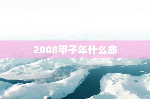 2008甲子年什么命