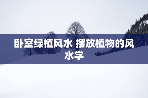 卧室绿植风水 摆放植物的风水学