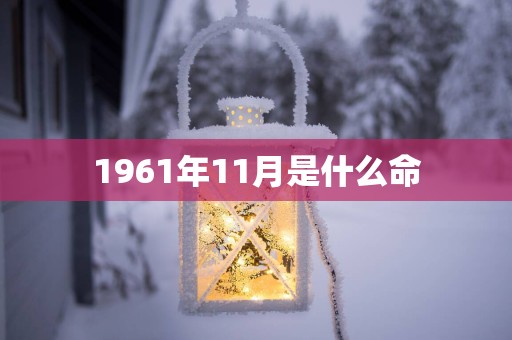 1961年11月是什么命