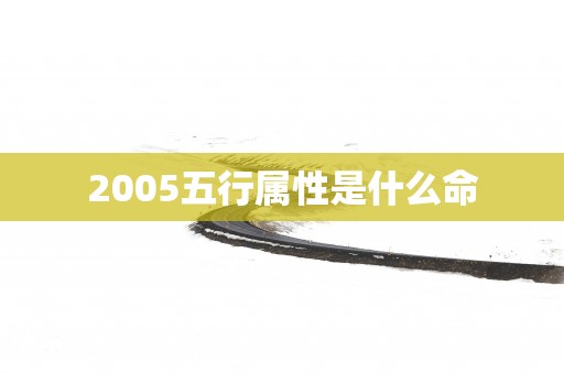 2005五行属性是什么命