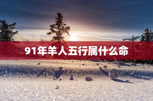 91年羊人五行属什么命