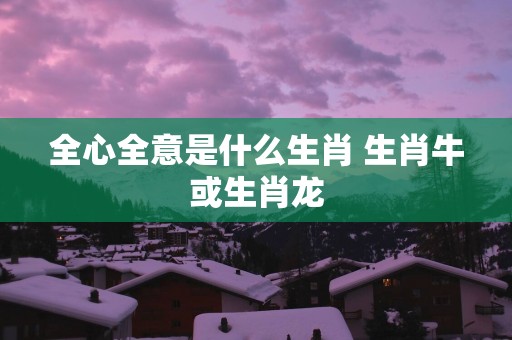 全心全意是什么生肖 生肖牛或生肖龙