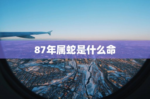 87年属蛇是什么命