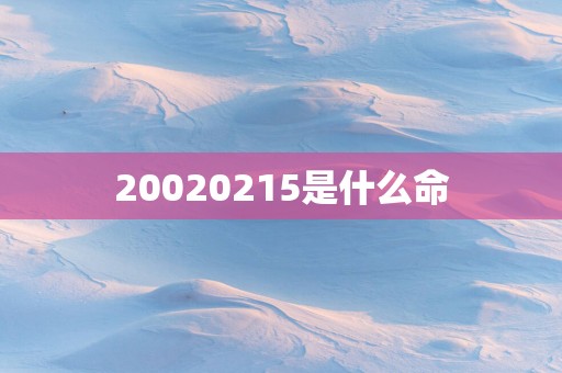 20020215是什么命