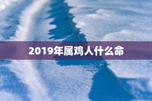 2019年属鸡人什么命