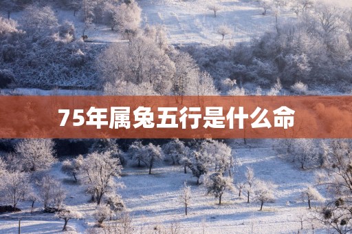 75年属兔五行是什么命