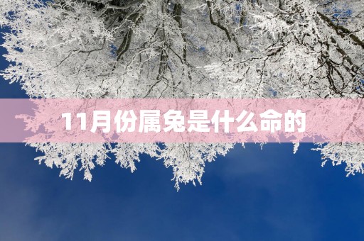11月份属兔是什么命的