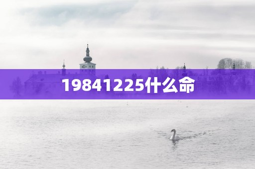 19841225什么命