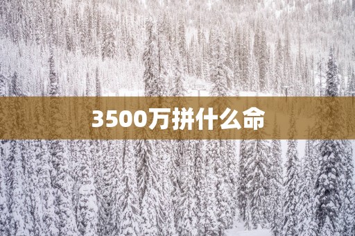 3500万拼什么命