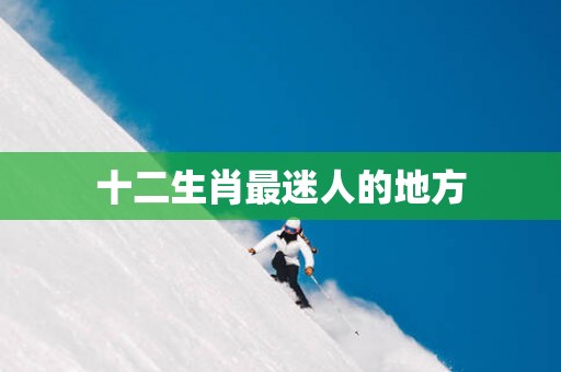 十二生肖最迷人的地方