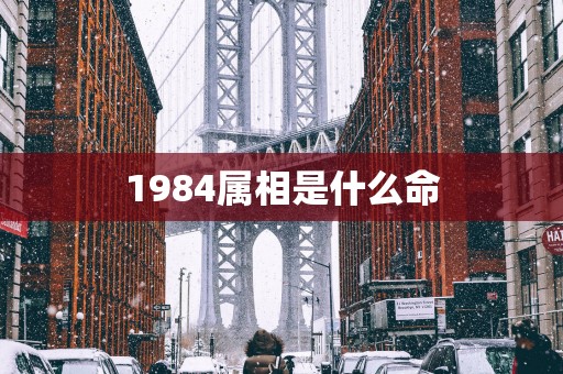1984属相是什么命