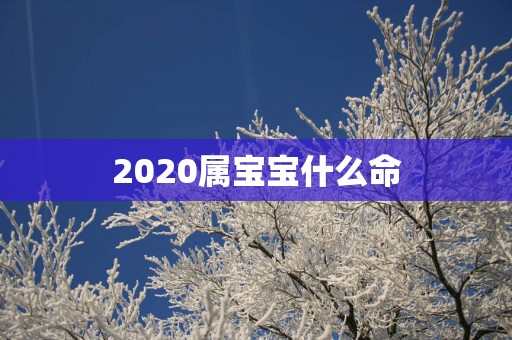 2025属宝宝什么命
