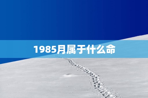 1985月属于什么命