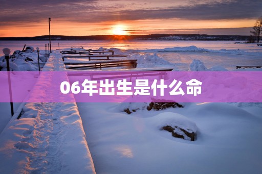 06年出生是什么命