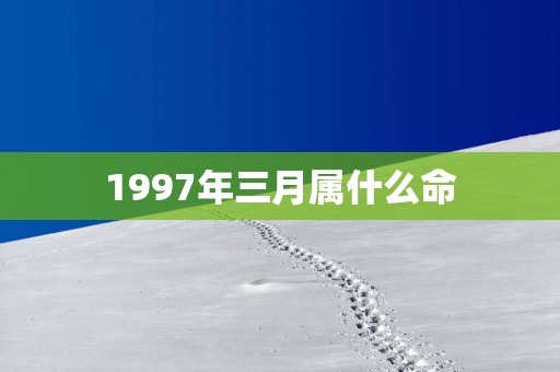 1997年三月属什么命