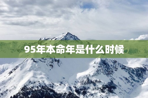 95年本命年是什么时候