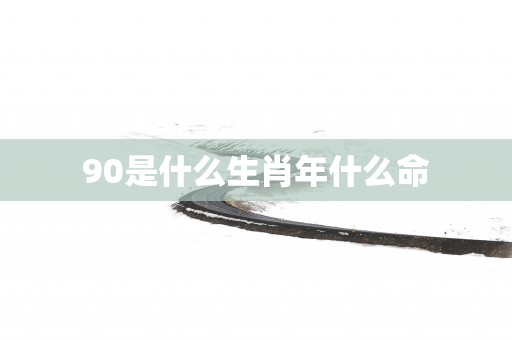 90是什么生肖年什么命