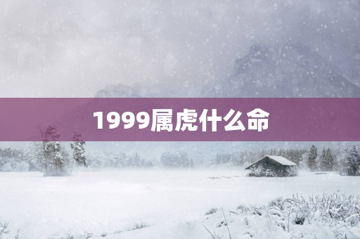 1999属虎什么命
