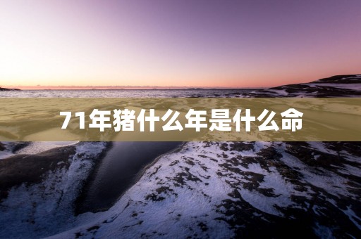 71年猪什么年是什么命