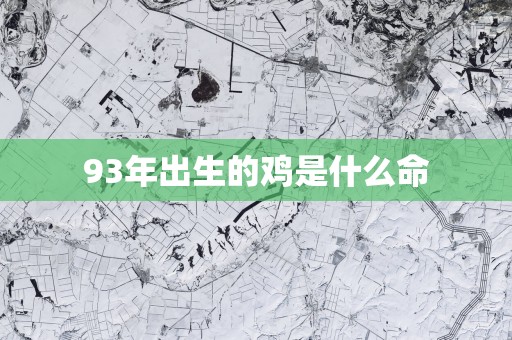 93年出生的鸡是什么命
