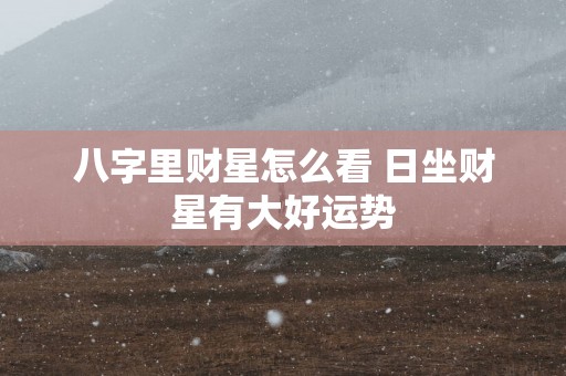 八字里财星怎么看 日坐财星有大好运势