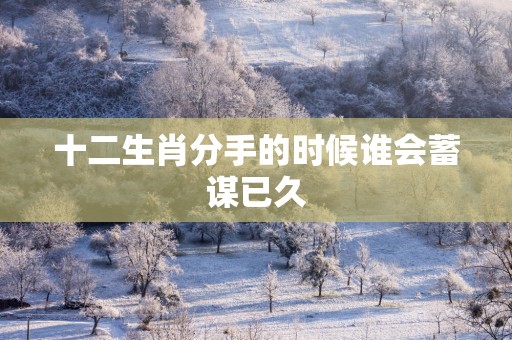 十二生肖分手的时候谁会蓄谋已久