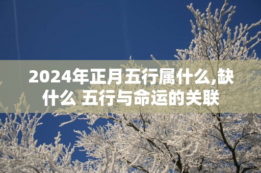 2025年正月五行属什么,缺什么 五行与命运的关联