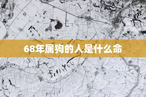68年属狗的人是什么命