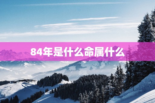 84年是什么命属什么