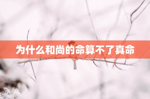 为什么和尚的命算不了真命