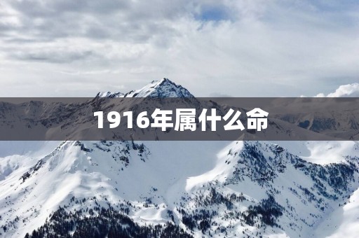 1916年属什么命