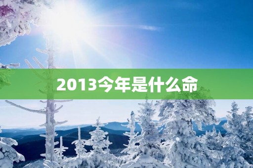 2013今年是什么命
