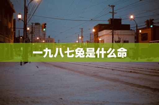 一九八七兔是什么命