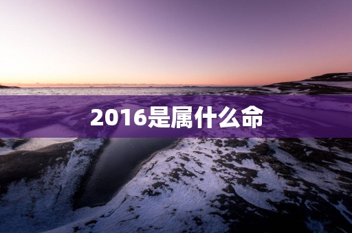 2016是属什么命