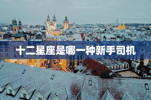 十二星座是哪一种新手司机