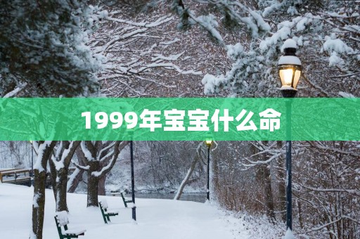 1999年宝宝什么命